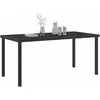 Sodo stalas Juoda 160 x 80 x 73 cm metalas