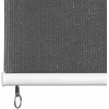 Lauko roletas, 185 (plotis) x 140 (aukštis) cm, antracito spalvos