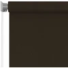 Lauko roletas, 305 (plotis) x 140 (aukštis) cm, rudos spalvos, HDPE