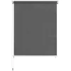 Lauko roletas, 355 (plotis) x 230 (aukštis) cm, antracito spalvos