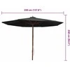 Lauko skėtis nuo saulės su mediniu stulpu, juodas, 350cm