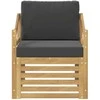 Lauko sofa Poliesteris Balta ir antracito