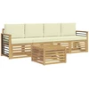Lauko sofos komplektas 5 vnt. 4 vietos Baltas and Kreminis