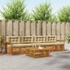 Lauko sofos komplektas 5 vnt. Natūralus ir bežinis