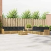 Lauko sofos komplektas 9 pcs Balta ir antracito