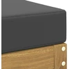 Lauko sofos komplektas Balta ir antracito 115 x 43 x 45 cm