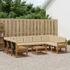 Lauko sofos komplektas su pagalve 10 pcs Natūralus ir bežinis