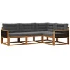 Lauko sofos komplektas su pagalve 4 pcs Natūralus ir antracitas
