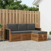 Lauko sofos komplektas su pagalve 4 pcs Natūralus ir antracitas