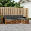 Lauko sofos komplektas su pagalve 5 pcs Natūralus ir antracitas