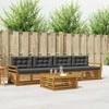 Lauko sofos komplektas su pagalve 5 pcs Natūralus ir antracitas