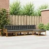 Lauko sofos komplektas su pagalve 5 pcs Natūralus ir antracitas