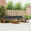 Lauko sofos komplektas su pagalve 6 pcs Natūralus ir antracitas