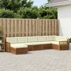 Lauko sofos komplektas su pagalve 7 pcs Natūralus ir grietinėlė