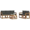Lauko sofos komplektas su pagalve 6 pcs Natūralus ir antracitas