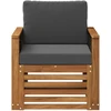 Lauko Vidurinis Sofa Natūrali