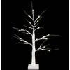 LED beržinė kalėdinė eglutė 2 vnt. Balta 10 x 10 x 58 cm