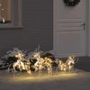 LED elniai su 60 LED 3 pcs Šilta balta PET