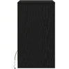 LED naktinis staliukas su spintelėmis 2 pcs juoda ąžuolo