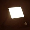 LED prožektorius su jutikliu, šiltos baltos spalvos, 50W