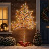 LED sieninė Kalėdų eglutė 210 cm 312 LED Įvairių spalvų Plienas
