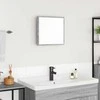 LED vonios veidrodis Pilkas Sonoma 40 x 37 x 8.5 cm