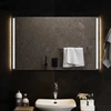 LED vonios veidrodis Skaidrus 100 x 60 cm grūdintas stiklas