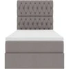 Lova su daiktų laikymo vieta ir LED su LED Taupe 100 x 200 cm