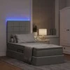Lova su daiktų laikymo vieta ir LED Šviesiai pilka 100 x 200 cm