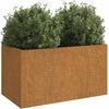 Lovelis, 62x40x39cm, Corten plienas
