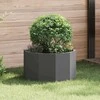 Lovelis Juoda 60 x 60 x 35 cm Plienas