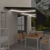Markizė su uždanga/LED/vėjo jutikliu, antracito, 6x3m