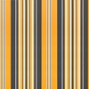 Markizės pakaitinis audinys Oranžinis ir Juodas 280 x 195 cm