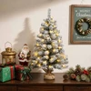 Mini Kalėdų eglutė, apsnigta 60 cm 25 LED Šilta balta PVC