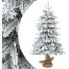 Mini Kalėdų medis 60 cm PVC ir PE Žalia ir balta
