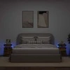 Naktinės spintelės su LED, 2vnt., dūminio ąžuolo, 35x39x55cm