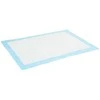 Neaustinės medžiagos augintinių treniruočių pagalvėlė 50 pcs