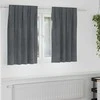 Užtemdymo užuolaidos 2 pcs Šviesiai pilka 140 x 140 cm Aksomas