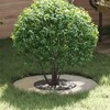 tinkamas plokščiam medžio žiedui Sidabro Ø30 / 60 cm