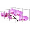 Nuotraukų rėmelis Fotopaveikslas "Orchidėjos" ant Drobės 100 x 50 cm