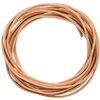 Odinis diržas Šviesiai rudas 500 x 0,3 cm Oda