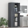 Oppbevaringsskap 2 vnt. Antracito 60 x 40 x 175 cm Plienas