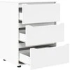 Oppbevaringsskap Balta 60 x 48 x 81 cm Apdirbta mediena