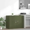 Oppbevaringsskap Alyvuogių žalia 90 x 40 x 70 cm Plienas