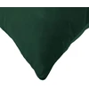 Pagalvėlė su pagalve HEERLEN 2 vnt. Tamsiai žalia Aksomas