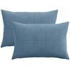 Pagalvėlės užvalkalas 2 pcs ALMELO Mėlyna 50 x 80 cm mančester