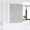 Pakabinama spintelė Betono pilka 80 x 31 x 100 cm