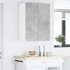 Pakabinama spintelė su saugykla Betono pilka 60 x 31 x 80 cm