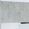 Pakabinama spintelė su saugykla Betono pilka 60 x 31 x 100 cm