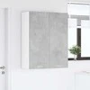 Pakabinama spintelė su saugykla Betono pilka 80 x 31 x 100 cm